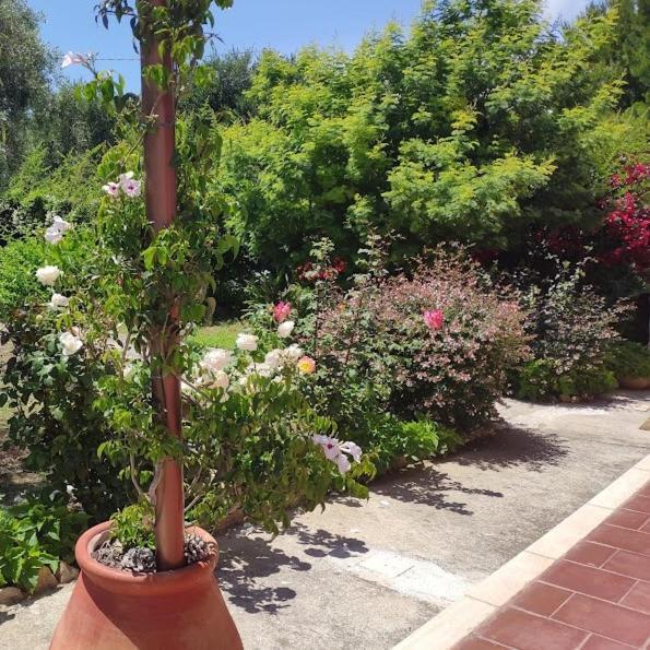 La Casa Di Giada, Appartamento In Villetta Con Aria Condizionata, Wi-Fi E Parcheggio Gratuito Poggi Exterior photo